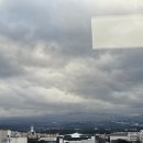 2023-0110 | 제주일상/내돈내산 영양제/건강기능(보조)식품/한포진 치료