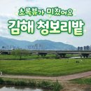 조만강생태체육공원 이동식화장실 | 김해 청보리밭 명소 조만강생태체육공원 주차까지 완벽정리