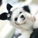 피앤피메디칼 이미지