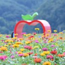 청송화원 이미지