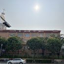[복호두 가좌점] 답례품 추천, 주고받는 사람 모두 만족하는 간식 / 콜드브루 맛집, 단체주문 O, 사무실...