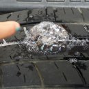 동부타이어카 이미지