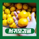 올바른 찬 | 서귀포귤의 진정한 맛 극조생노지감귤 올바른푸드 후기