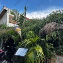 그린메드 | 발리 아메드 분위기 좋은 카페｜초록초록한 림바 카페(Rimba Cafe) 후기