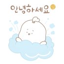 정쓰초이스