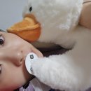 마이비 짐 | 출산 당일! 인천 논현 마이비산부인과 제왕절개 1일차 생생후기