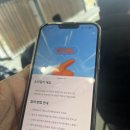 제주도 가볼만한 곳| 981 테마파크_ 애월 놀거리, 제주도 액티비티 추천