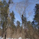 계곡&풍경 이미지