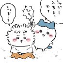 [상무지구] 유호 뷰티클래스 내돈내산 후기