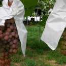 학자농원 이미지