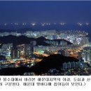 황령산 편백단지 이미지