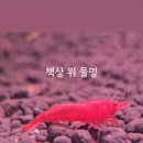 어항고개 이미지