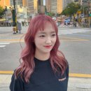 에이바헤어 이미지