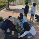 후포초등학교 이미지