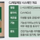 CJ식품