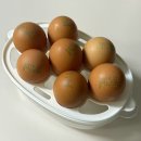 흘미농장 이미지