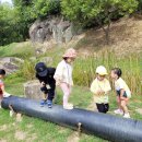 안동유치원 (5세 새싹반)-개구리샘 이미지