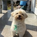 유자골고흥한우 프라자 이미지