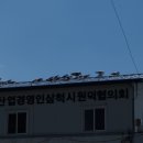 동굴목장 이미지