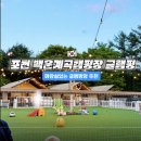백운뜰 | 포천 1박2일 여행 숙소 추천 백운계곡캠핑장 프리미엄동 글램핑 솔직후기 (화장실 O)