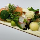 낭만연어 이미지