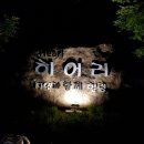 영월패러글라이딩