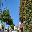 아몰랑 | 대구 혼주 한복 고운선한복 계약, 피팅 후기(계약 금액 공유)