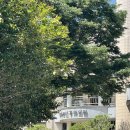 부산신경외과의원 이미지