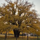 만의골로 이미지