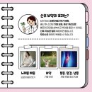 형제한의원 | 형제맘의 산후 보약 가격과 후기/ 성수동 한의원
