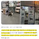 목동119안전센터앞 | 동물119, 단 1분의 판단이 생명을 살릴 수 있습니다. &lt;루시드 메디컬센터&gt;