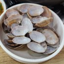 문성해물칼국수 - 포항시 남구 | 문성해물칼국수