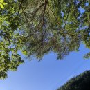 데파인유 이미지