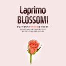 라프리모 이미지