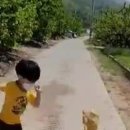 건이농장 이미지