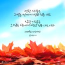 물맷돌 네이버블로그