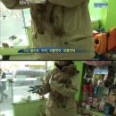 멍멍 이미지
