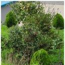 도양농장 이미지