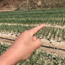 건희약국 이미지