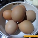 희야네 이미지