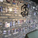 털보네펍