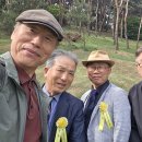 이배사 서울지회 충무공 묘소 참배 이미지