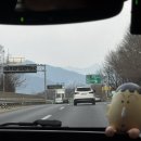 서울바베큐 | 서울근교맛집 양평드라이브추천 대디스바베큐 후기