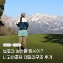 고지대 그린 테마공원 | 벚꽃과 설산을 동시에? 일본골프여행 숨은보석, 나고야골프 데일리구조 후기