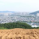 대지건축사사무소 이미지