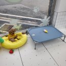 까끌레멍 이미지