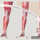 엔엘 휘트니스 이미지