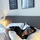 꿀잠호텔 이미지