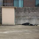 동광초교 이미지