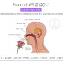 힐테라피 이미지